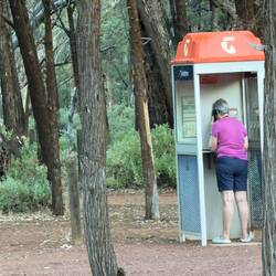 Sie versucht tatsächlich den Weihnachtsmann anzurufen