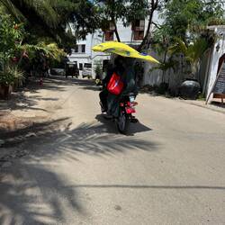 Fahrt mit Sonnenschirm