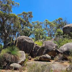 John Forrest Nationalpark