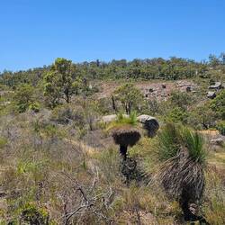 John Forrest Nationalpark