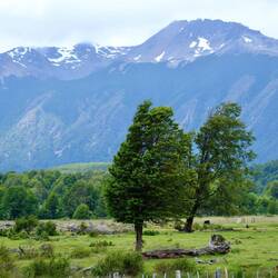 Viel Wind hier... und schiefe Bäume