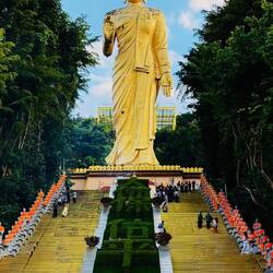 Ob der auch gern mal auf dem Elefanten 'ne Runde drehen würde? 🤔