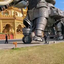 Einfach genießen 🥳🥳🥳