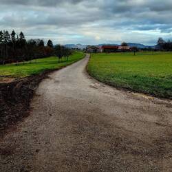 Kurz vor Bechtoldsweiler