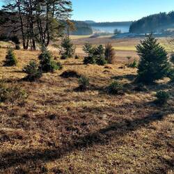 In der Geifitze auf der Alb