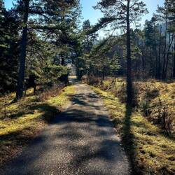 Traumhafte Stimmung Mitte Dezember