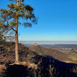 Blick vom Raichberg (956m) Richtung Zollern