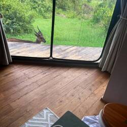 Bad mit gegenseitiger Beobachtungsmöglichkeit 😂