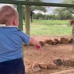 Der Gepard hatte Jano zum fressen gern...