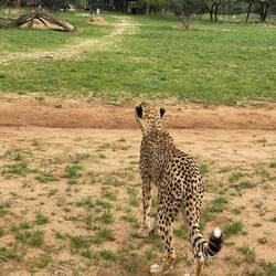 Jano wurde gesichtet.