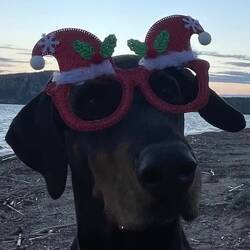 ..und die Puppi❤️🐾macht wie immer bei jeder Gaude mit 😇😂