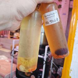 Wer hätte die Säfte getrunken? :P