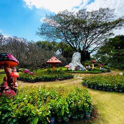 Ein bisschen Kitsch muss sein 🤷🏻‍♂️