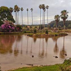 ...hier tummeln sich alle möglichen Tiere
