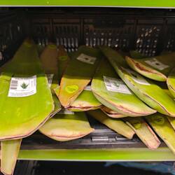 frische Aloe Vera - kann man schon einmal im Supermarkt kaufen