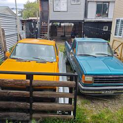 Blick in den "Garten" unserer ersten Unterkunft in Puerto Natales