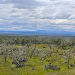 und viel viel Steppe