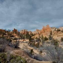Bryce Canyon von der anderen Seite.