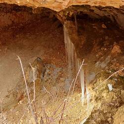 Echt, da müßen wir noch ein bisschen warten.