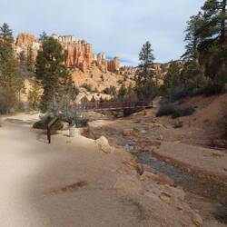 Der Trail geht über eine Brücke.