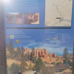 Mossy Cave Trail