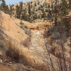 Nochmal der Ditch mit Bryce Canyon Wand im Hintergrund.