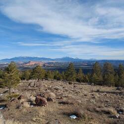 Und wieder runter, Schnee weg.