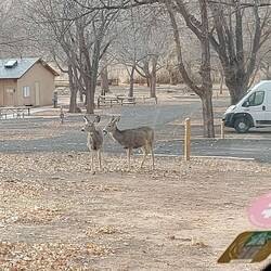 Muß ich meinen Platz schon wieder teilen.