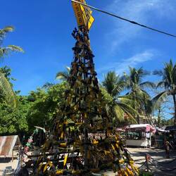 Using plastic bottles to build a Xmas tree
