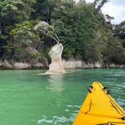 Paddeln in der Tasman Sea