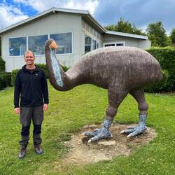 So groß waren die leider ausgerotteten Moa.