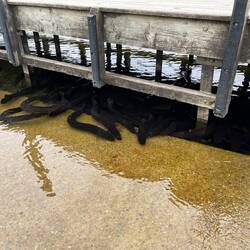 Wer traut sich hier ins Wasser ?