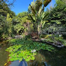 Kurz vor unserer Abreise haben wir noch einen Spaziergang durch einen der vielen Parks gemacht ...
