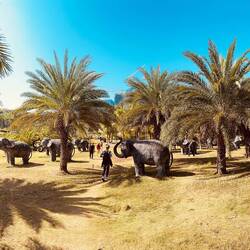 Sucht die Elefanten 😜