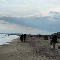 1.1.2026 Alles trifft sich am Strand bei Speise und Trank