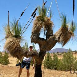 Wer ist wohl älter?