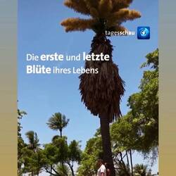 heats sogär bis noch europa id medien gschafft