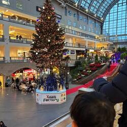 Lighting of the Christmas tree at Sapporo Factory