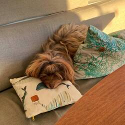 India nach ausgiebigem Landgang