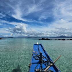Schildkröten beobachten steht gleich am Program.