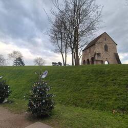 "Allee der Weihnachtsbäume", gestaltet von Vereinen , Handwerkern und.a.