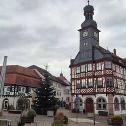 Altstadt mit Rathaus