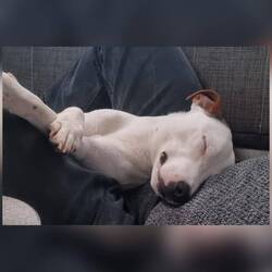 Danach Akkus aufladen