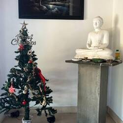 Glædelig jul 🎅🏼