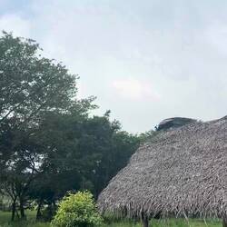 Ok så... De kan altså godt flyve