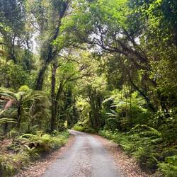 De highway was vrij kaal. Het pad naar de camping was allesbehalve (dit was 50 meter na de afslag)