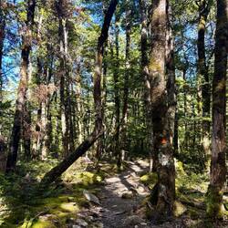 Begin van de wandeling