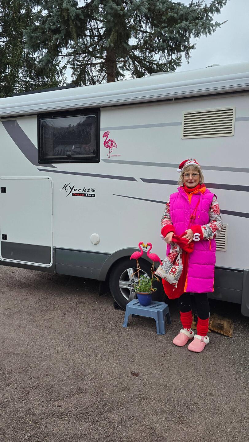 Flamingos on tour zu Weihnachten 🦩🦩