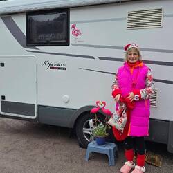 Flamingos on tour zu Weihnachten 🦩🦩