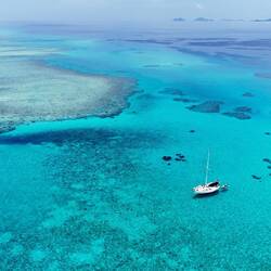 Malola Barrier Reef 🪸🐢🐠